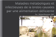 Maladies métaboliques et infectieuses de la brebis causées par une alimentation déficiente