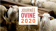 Journée ovine de l'Estrie 2020