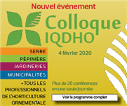 Les avancées technologiques dans l’enracinement et la mécanisation des boutures - Colloque IQDHO 2020