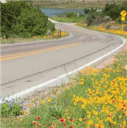 Guide technique pour l’amélioration, la gestion et la restauration des habitats des pollinisateurs au bord des routes en Ontario