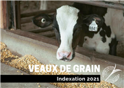 Indexation 2021 - Coût de production Veaux de grains