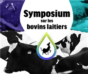 Pourquoi l'épigénétique est important pour les producteurs laitiers - Les altérations de la méthylation de l'ADN sont impliquées dans la mammite sous-clinique bovine