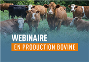 Programmes pour appuyer vos projets en production bovine (PDF)