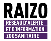 RAIZO - Info-RAIZO : faits saillants de 2014-2015