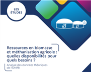 Ressources en biomasse  et méthanisation agricole :  quelles disponibilités pour  quels besoins ? (En France)