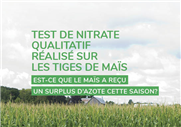 Test de nitrate qualitatif réalisé sur les tiges de maïs