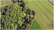 Feuillet synthèse - L'agroforesterie au bénéfice des sols et des cultures, un atout face aux changements climatiques