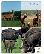 Les Grands Gibiers Domestiques - Nutrition et alimentation du bison