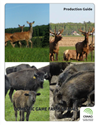 Domestic Game Farm Animals - Red Deer