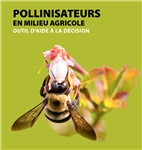 Pollinisateurs en milieu agricole : outil d'aide à la décision