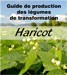 Guide de production des légumes de transformation Haricot