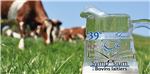L'urée du lait comme outil d'évaluation de l'efficacité d'utilisation de la protéine alimentaire