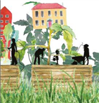 Cultiver son milieu de vie - Trousse d'accompagnement à l'implantation de jardins potagers participatifs en milieu d'habitation